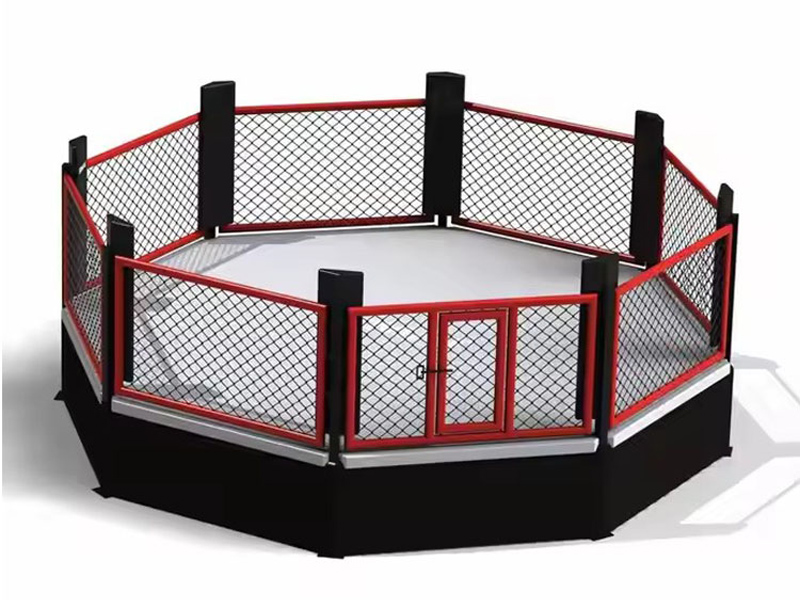 What's Actually Inside an MMA Octagon?