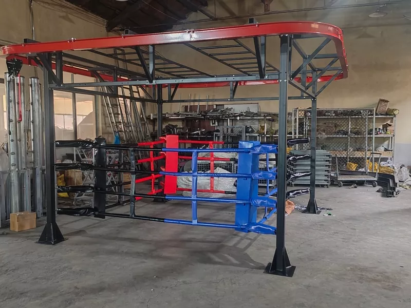 Why Settle for a Standard Boxing Ring When You Can Have an All-in-One Custom Training Hub?