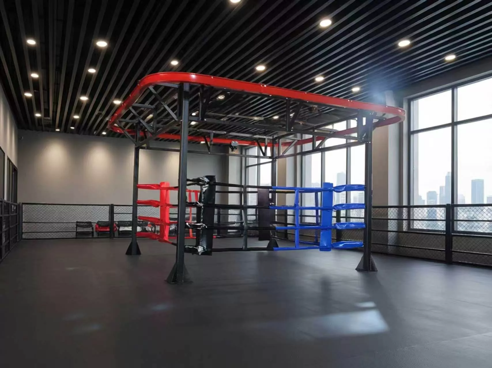 Do you want to combine ring sparring, heavy bag work, and functional fitness training on a single piece of equipment?