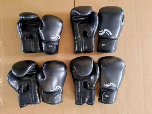 Pandawin Sports Boxing Gloves: Which Model Best Suits Your Training Intensity and Budget?