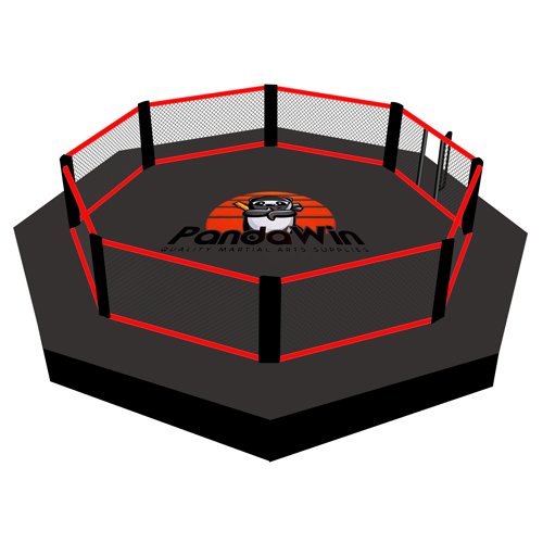 Professional Boxing Ring
