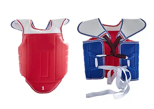 Taekwondo Groin Guard