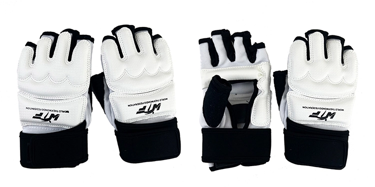 Taekwondo Hand Guard