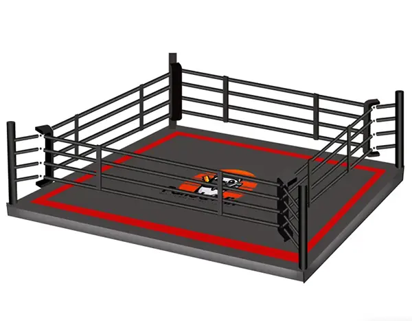 Floor Boxing Ring