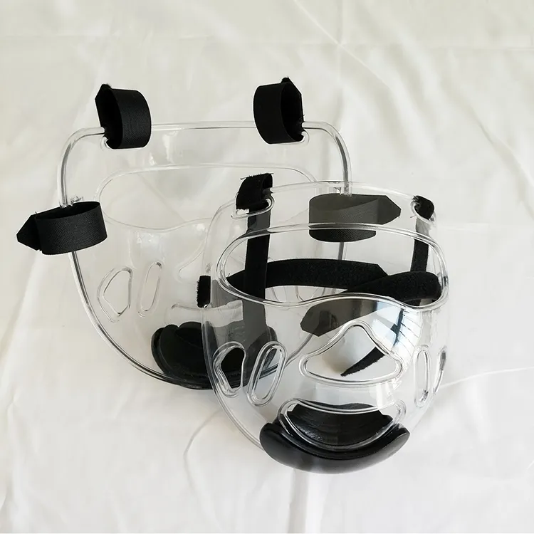 Karate Face Protector